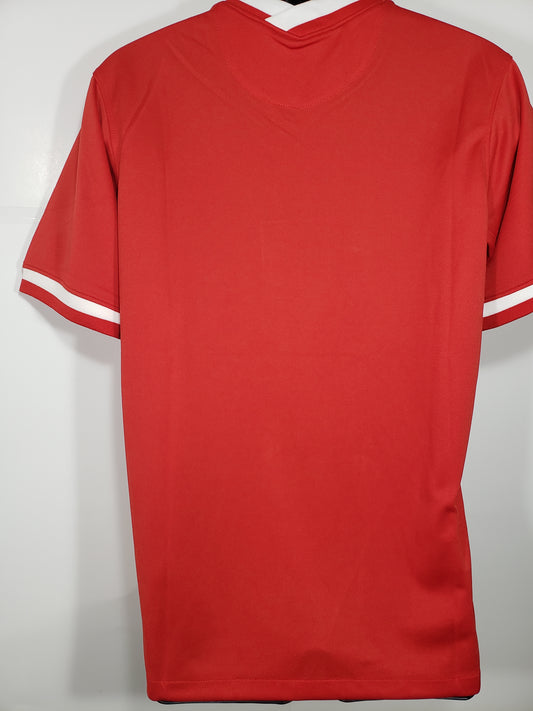 Poland Replica Jersey