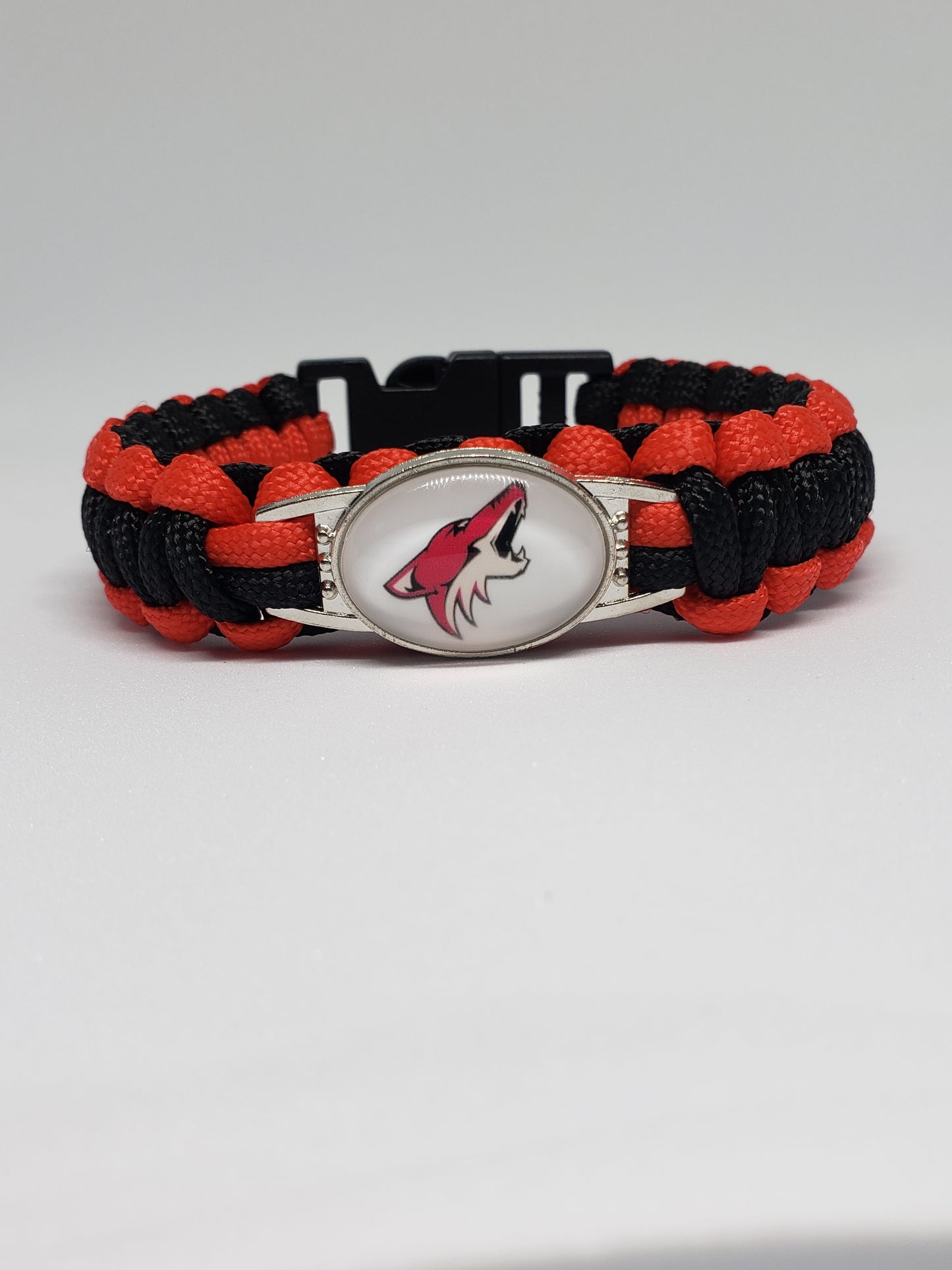 Arizona Coyotes