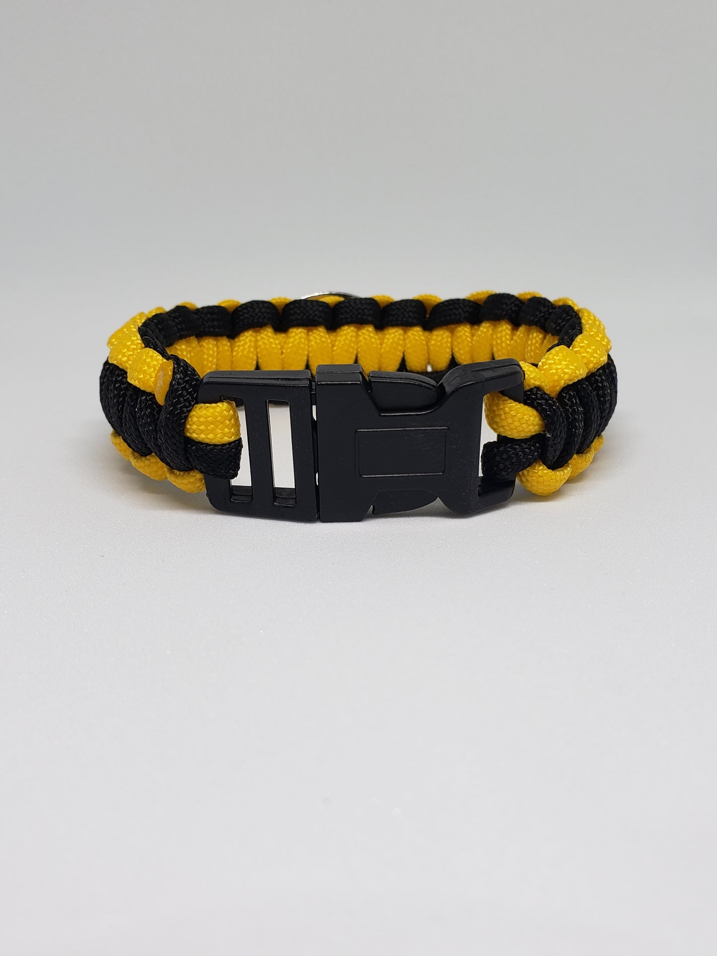 Boston Bruins