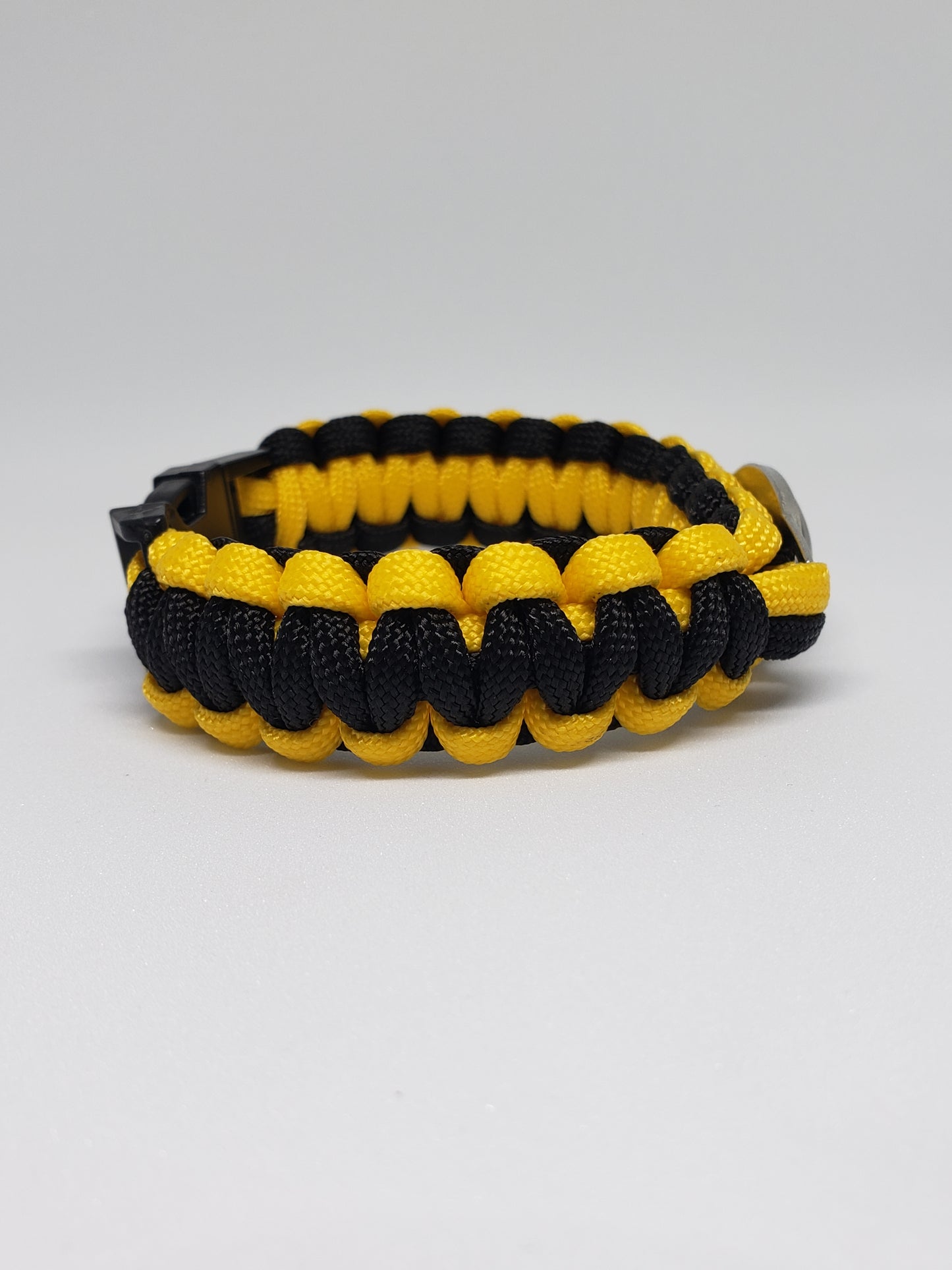 Boston Bruins