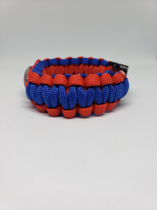 Los Angeles Clippers